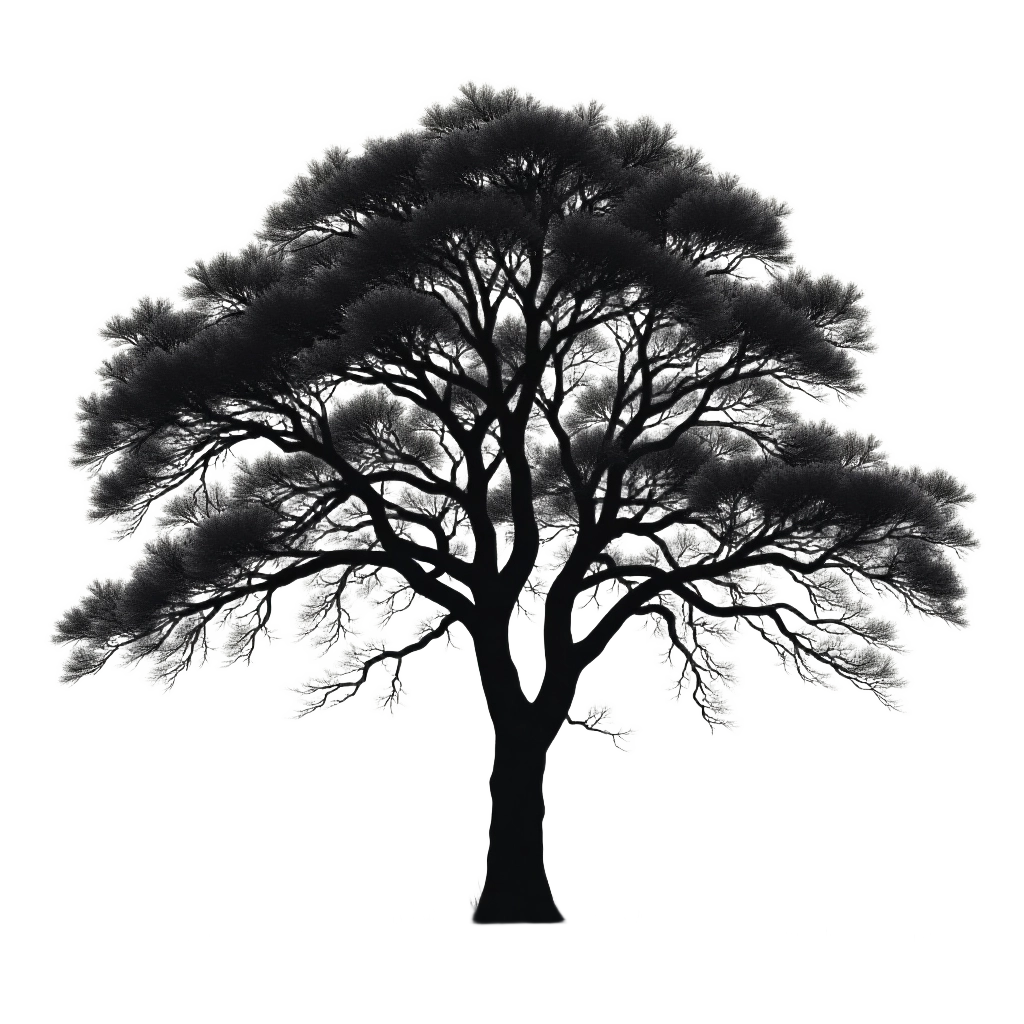 Monochrome Tree Silhouette